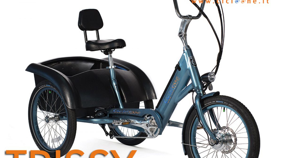 bicicletta elettrica portata 120 kg prezzi